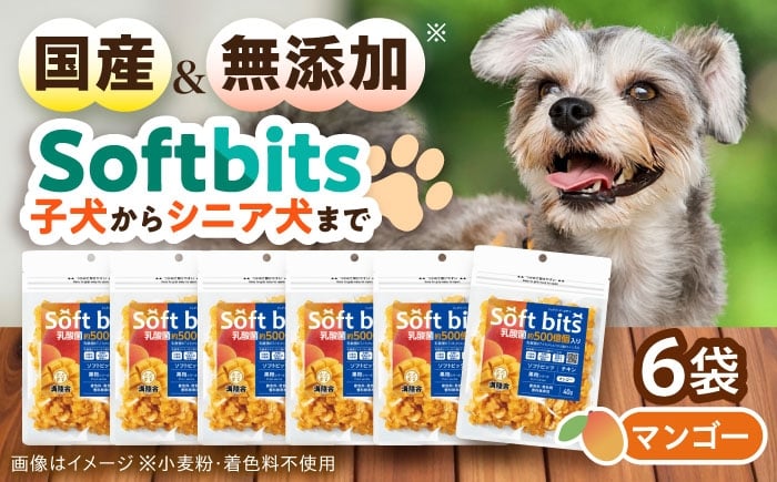 
            Softbits ドッグフード マンゴー（40g×6P）/ ドッグフード 犬 いぬ ドッグ おやつ ペットフード大村市 / サポート [ACAM010]
          