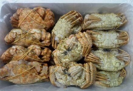 ＜12月22日決済分まで年内配送＞【北海道根室産】クリガニ12～14尾(計2.6kg前後) A-57061