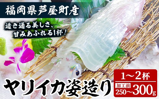 
                  ヤリイカ (加工前：250～300g/匹・1～2匹分) いか 烏賊 イカ やりいか 刺身 お造り 姿造り 冷凍 急速冷凍 贈答用 ギフト 贈り物 海の幸 海産物 魚介類 福岡県産 芦屋町産 【九州男】as54-001
                