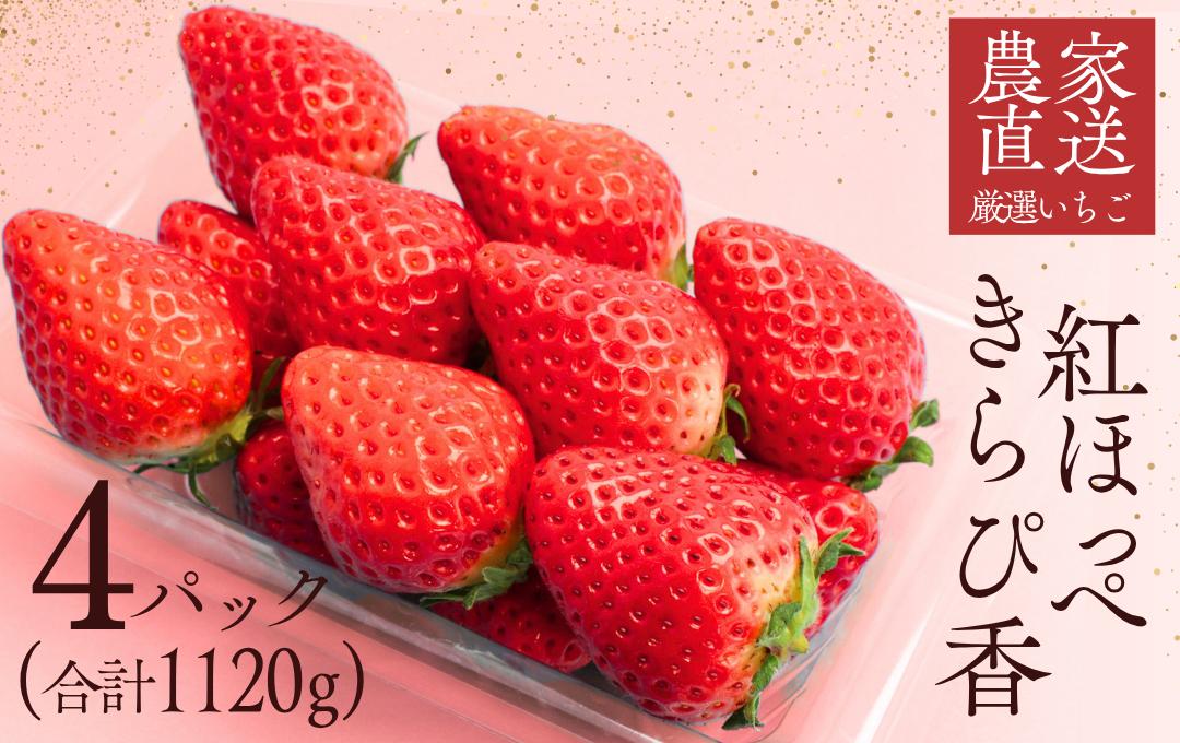 
                  【2～5月発送】 いちご DXパック 紅ほっぺ こだわり いちご イチゴ strawberry 苺 新鮮 朝摘み 朝採り 産直 産地直送 安心安全 ichigo itigo いちご 苺 果物 フルーツ くだもの ギフト プレゼント 贈物 贈答 ケーキ ふるさと納税 ふるさと納税苺 いちご 静岡県 南伊豆町 南伊豆ファーム <BD-14>
                