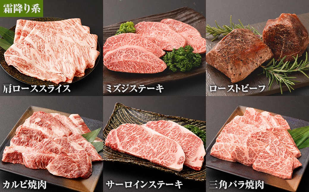 【6カ月定期便】毎月お届け！ おおいた和牛を贅沢に味わい尽くす半年間定期便/霜降り系