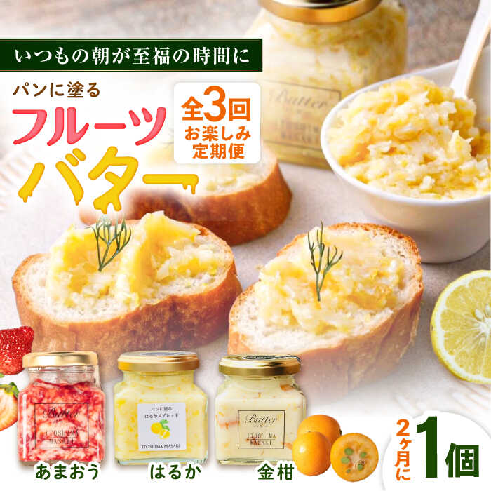 【ふるさと納税】【全3回定期便/2ヶ月に1回】お楽しみ定期便 フルーツバター大1個 糸島市 / 糸島正キ ジャム クリーム 果物[AQA065]2万8千円28000円