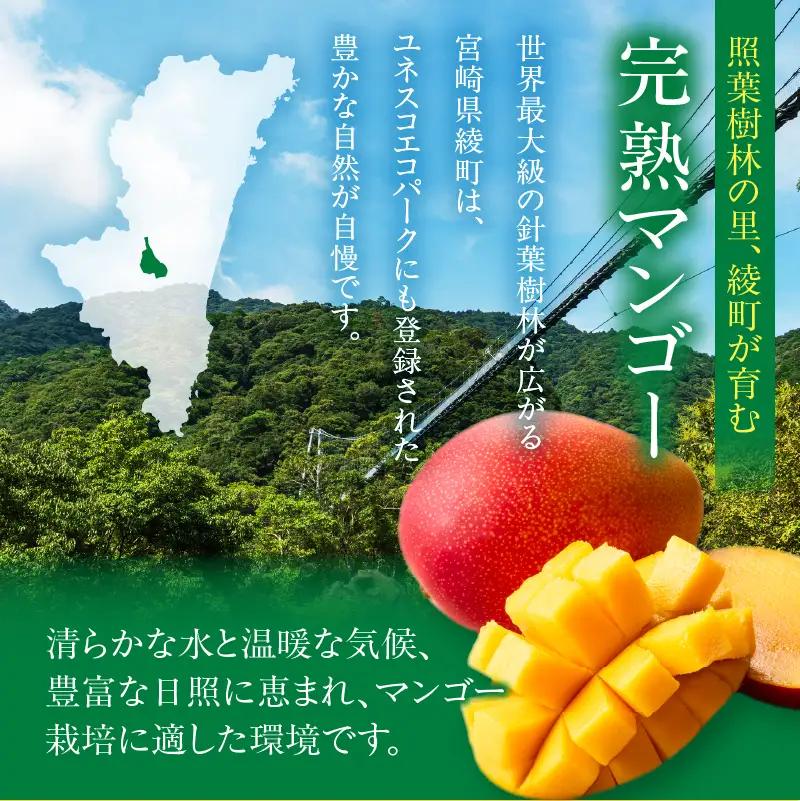 先行予約 完熟マンゴー 5L×1玉（化粧箱）マンゴー 宮崎 果物 フルーツ くだもの 2027年 国産 高級 マンゴージュース 南国フルーツ おすすめ デザート ギフト 贈り物 プレゼント 贈答 冷蔵
