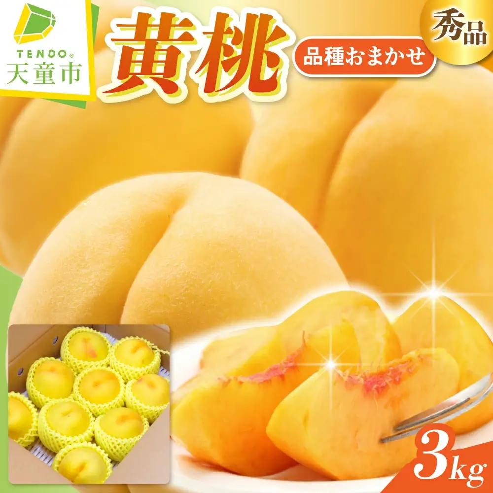 黄桃 ( 品種 おまかせ ) 3kg フルーツ 果物 山形