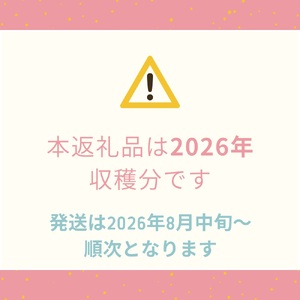 【2026年発送】シャインマスカット 訳あり家庭用 粒 にてお届け 約1kg