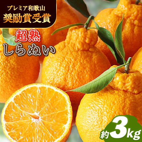 採れたてフレッシュ! 超完熟・葉付き 不知火 3kg まるまつ農園《3月中旬-4月末頃出荷》  和歌山県 日高川町 不知火 柑橘 しらぬい  完熟