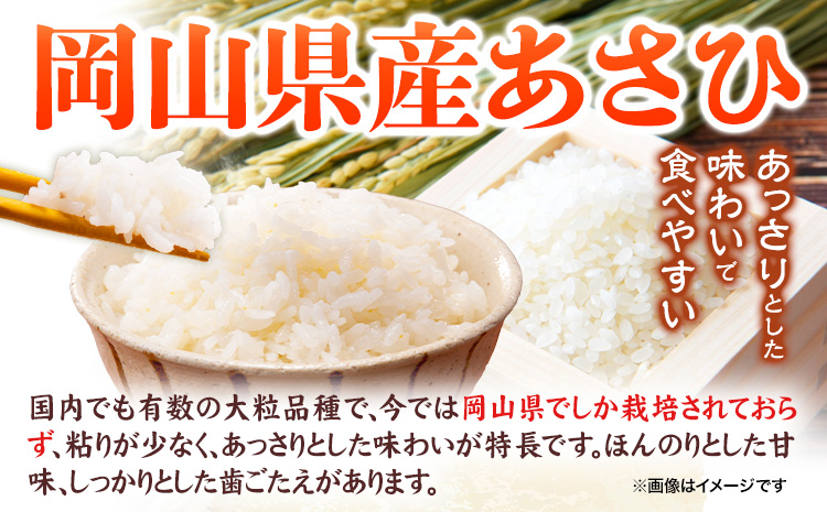 岡山県産 あさひ 10kg (5kg×2袋)  全農パールライス株式会社 《90日以内に出荷予定(土日祝除く)》精米 米 送料無料---124_1354_90d_24_22000_10---