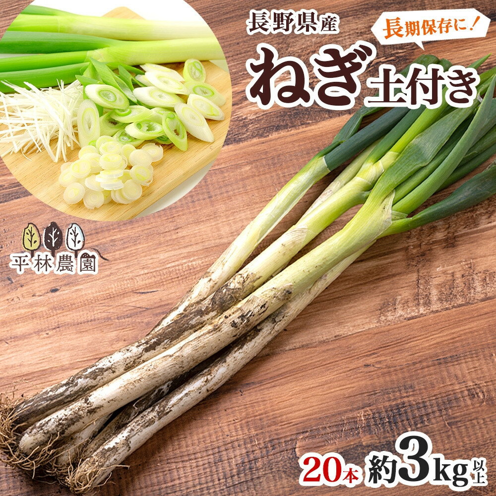 【ふるさと納税】ねぎ 土付き20本 3kg以上 ｜長ねぎ ネギ 葱 野菜 国産 新鮮 常備 保存 土付き 鍋 味噌汁 すき焼き 薬味 料理 お裾分け 贈り物 長野県産 送料無料 産地直送 平林農園 長野県 大町市 | 野菜 やさい 食品 人気 おすすめ 送料無料