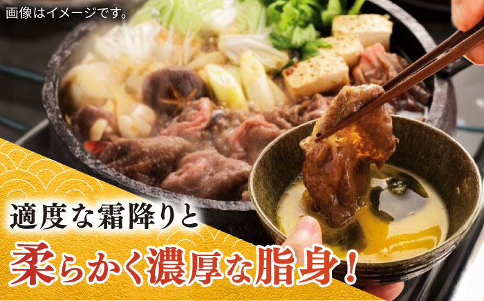 佐賀牛霜降りスライス（肩ロース）500g / ロース 国産 黒毛和牛 和牛 すき焼き/ 佐賀県 / 中山牧場 [41AOCW008]