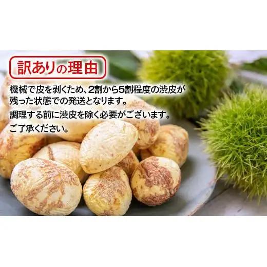 【訳あり】 新鮮朝どれ 生むき栗 1.5㎏ 西都市産【先行予約】＜49-8a＞