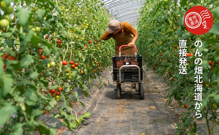 のんの畑北海道から直接発送します。