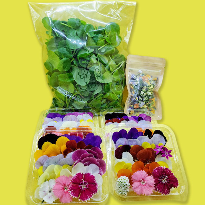 【ふるさと納税】【Dセット】エディブルフラワー 生花 20輪 4パック 80g 2g サラダクレソン ドライ 食用花 食べられる花 生け花 飾り付け 食用 お菓子 水耕栽培 サラダ 栄養満点 美肌効果 誕生日 兵庫県播磨町 プレゼント