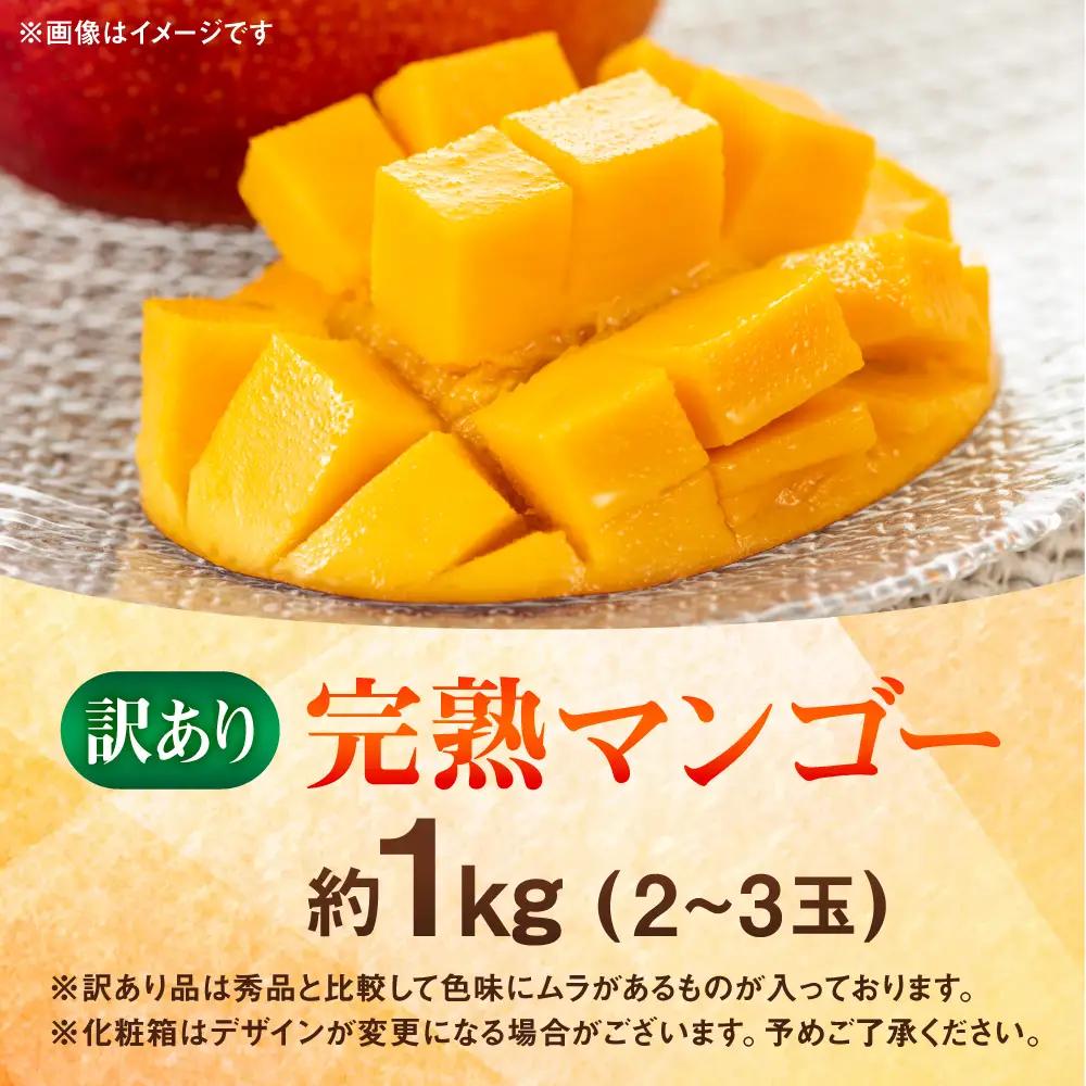 【先行予約】 【訳あり】 完熟マンゴー約1kg（2～3玉） 【宮本マンゴー農園】[AYDU001]