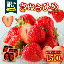 【ふるさと納税】訳あり ご家庭用　さぬきひめいちご　約1.5kg【2024-11月上旬～2025-1月下旬配送】 | いちご 果物 フルーツ 果実 果肉 ケーキ トッピング ストロベリー デザート グルメ お取り寄せ おすすめ 香川県 高松市 送料無料