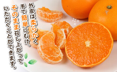 せとか 約4kg L~3L サイズ Shirai.agrifarm 先行予約 みかん 高級柑橘 柑橘の 大トロ 愛媛ミカン 愛媛蜜柑 mikan 柑橘 果物 くだもの フルーツ 高級 ブランド 濃厚 