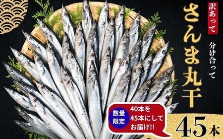 訳あり さんま 40尾 数量限定 増量 中 45尾 訳あって 【 さんま 】 ヤマニンベン