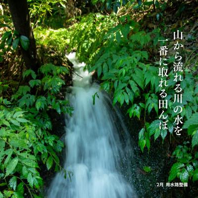 ふるさと納税 佐渡市 【発送月固定定期便】新潟県佐渡産【在来コシヒカリ】白米 5kg全4回 |  | 01