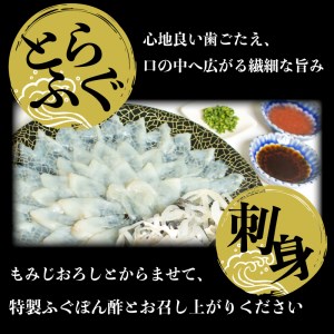 とらふぐ 刺身 鍋 一汐干し 皮 ふぐ まふぐ 2人前 ふぐ刺し 冷凍 雑炊 低カロリー 高タンパク 低脂肪 コラーゲン ポン酢 もみじ 付き 下関 山口 AU422