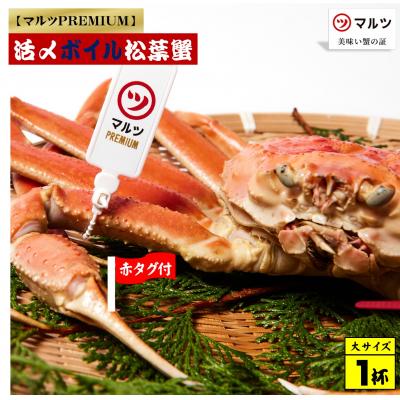 ふるさと納税 米子市 活〆ボイル松葉蟹 900g以上×1杯　【マルツPREMIUM】