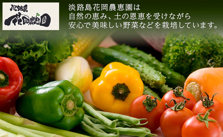 淡路島産 栽培期間中 無肥料 無農薬 自然栽培 玉ねぎ 5kg 野菜 玉葱 兵庫県 洲本市 淡路島