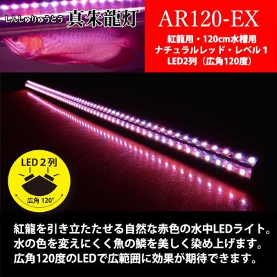 ふるさと納税 小牧市 変化を体感!水を赤くせず、紅龍だけ美しく魅せる水中LEDライト|AR120-EX[172C19] |  | 01
