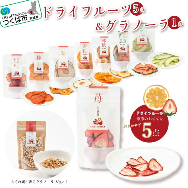 【ふるさと納税】ドライフルーツ&グラノーラセット | 茨城県 つくば市 果物 季節のフルーツ ドライフルーツ グラノーラ ヘルシー 自然食品 朝食 美容 健康 おやつ 専門店 休憩時間 おすすめセット フードギフト 詰め合わせ 詰合せ セット 10000 10000円 1013626