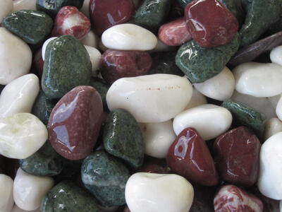 スペシャル五色8分（20～30ｍｍ） 20kg袋 兵庫県 洲本市 淡路島