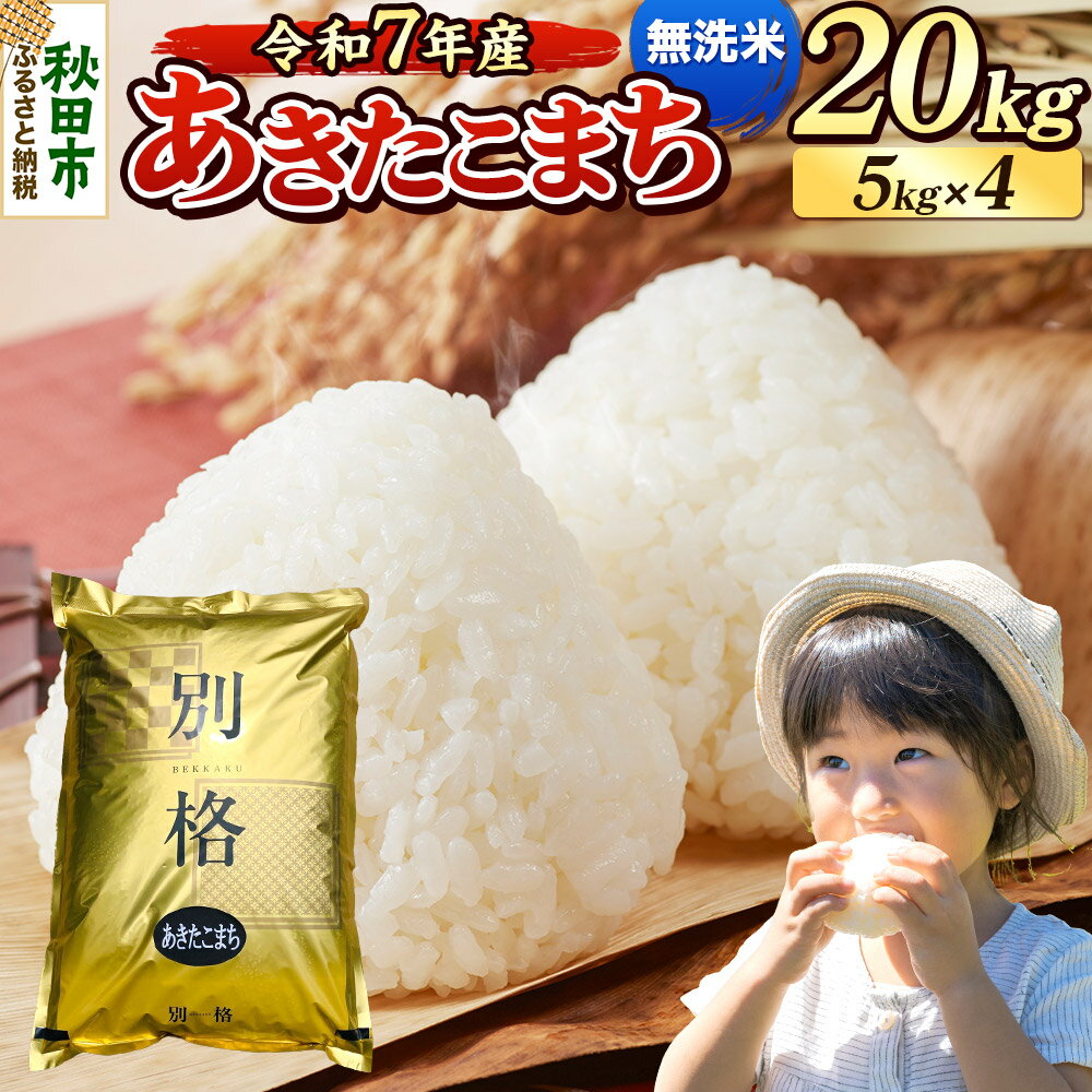 【ふるさと納税】《令和7年産》 米 あきたこまち 20kg（5kg×4袋） 【無洗米】 秋田県産
