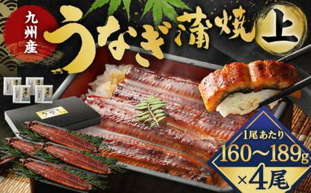 九州産 うなぎ 蒲焼 上 4尾 (1尾あたり160～189g)【2025年8月発送】