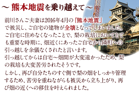 まえかわ梨園の玉東梨 熊本県玉東町産【2品種から旬の梨1種】約3kg（6-8玉前後）《 8月中旬-9月下旬頃出荷》 ｜ブランド梨 人気梨 特産品梨 熊本県梨 玉東町梨 大人気返礼品