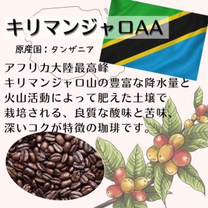 【定期便】自家焙煎 人気珈琲豆 3種セット（3か月）（豆のまま）