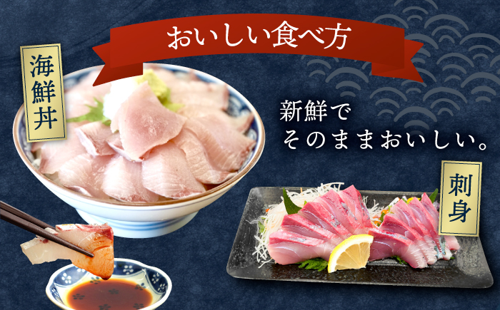 ＜6月発送＞刺身 3人前 約450g 詰め合わせ【百旬館】[KAK020]/ 長崎 平戸 魚介類 魚 刺身 ブロック ヒラス ひらす ブリ ぶり 鯛 タイ たい 急速冷凍 真空 パック