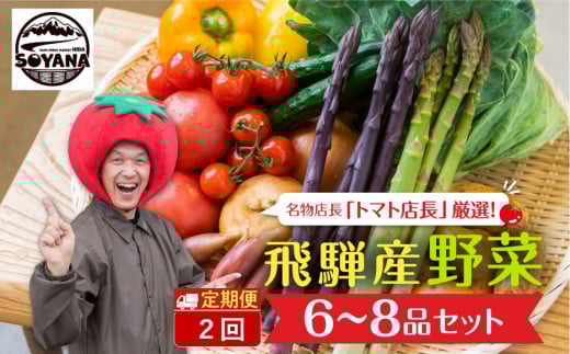 【2回定期便】産直市から直送！ 飛騨産 旬の新鮮 野菜セット (5～6品)   ～2025年7月から11月にお届け～