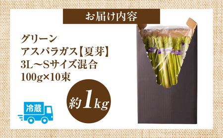 【夏芽】グリーンアスパラガス サイズ混合約1kg　アスパラ | グリーンアスパラガス アスパラガス アスパラ 夏芽 おすすめ 混合 シャキシャキ 野菜 冷蔵 新鮮 新鮮野菜 香川県 国産 三木町 おす