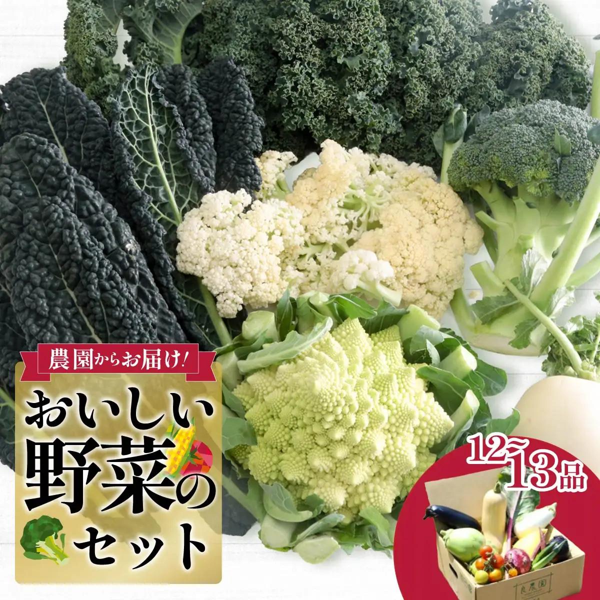 西洋野菜 一般野菜 旬野菜セット 12～13品 | やさい