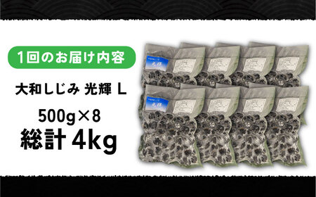 【全3回定期便】産地直送！宍道湖産 冷凍大和しじみLサイズ4kg(500g×8) 砂抜き処理済 島根県松江市/りすたむmatsue[ALDE016]