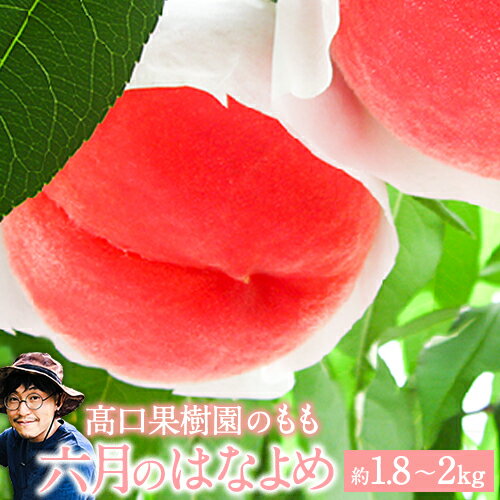 【ふるさと納税】 【2026年 先行予約 】桃 六月のはなよめ 約1.8〜2kg もも モモ 旬 フルーツ 果物 熊本県荒尾市産 桃 高口果樹園 【日付指定不可】《2026年6月上旬-6月下旬頃出荷》六月の花嫁