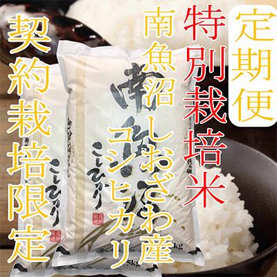 ふるさと納税 南魚沼市 【毎月定期便】【特別栽培米10Kg】生産者限定 南魚沼しおざわ産コシヒカリ全3回