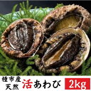 【ふるさと納税】種市産天然活あわび 14～18個程度(約2kg) 冷蔵 鮑 お刺身 ステーキ 産地直送