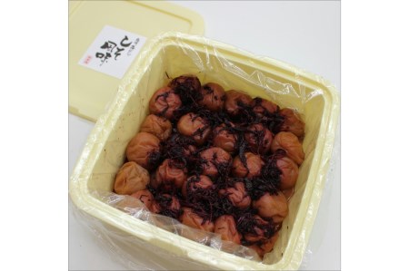 紀州南高梅 しそ梅(塩分15%) 10kg（和歌山県産）