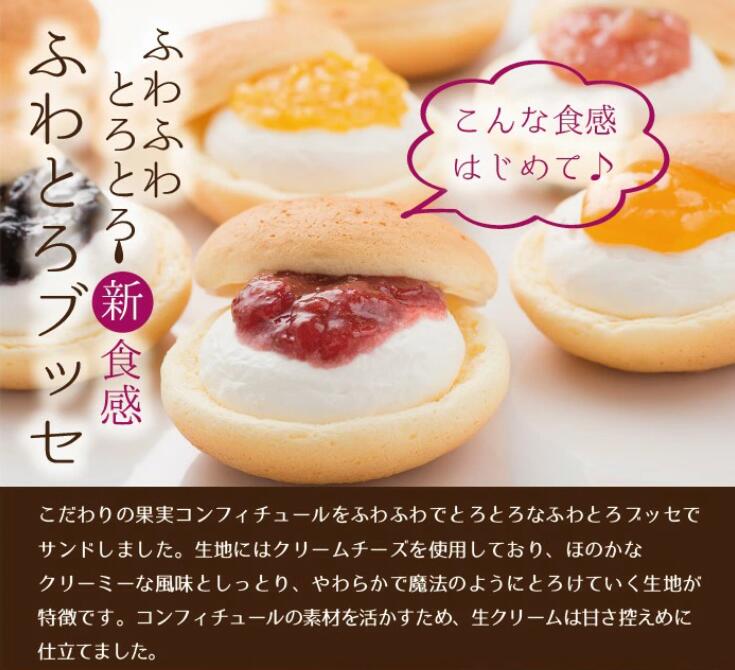 【ふるさと納税】ふわとろブッセ10個入り(5種×各2個 / 洋菓子 スイーツ 甘さ控えめ 福井県産 フルーツ フルーツギフト クリームチーズ チーズ風味 5種 詰め合せ 苺 ブルーベリー いちじく 柚子 梅 冷凍便 高井屋 送料無料 [A-019001]