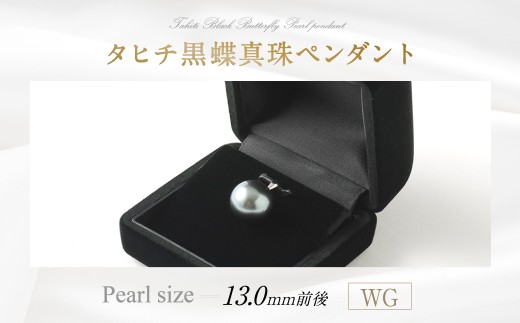 WG タヒチ黒蝶真珠 ペンダント 真珠サイズ13.0mm前後 高品質