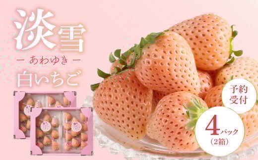 ★予約受付★杉山いちご農園 白いちご「淡雪（あわゆき）DX」2026年1月～4月中に順次配送 ／ 淡雪 白いちご 白イチゴ 苺 いちご 希少 品種 果物 フルーツ 甘い 旬 果実 農産物 国産 数量限定 期間限定 先行予約 予約受付 佐賀県 玄海町 冷蔵