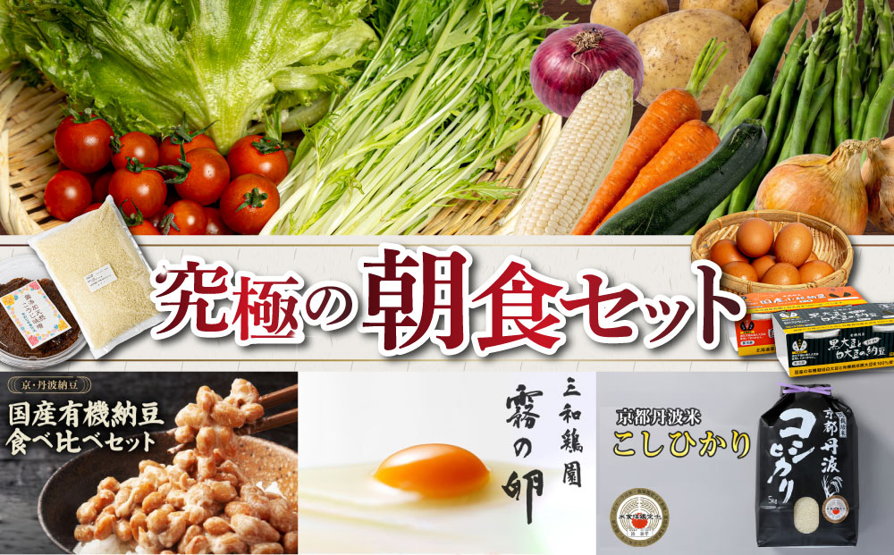 【6回定期便】京都丹波・亀岡発 旬の野菜・こしひかり 詰め合わせセット (隔月6回お届け)● ※北海道・沖縄・離島への配送不可