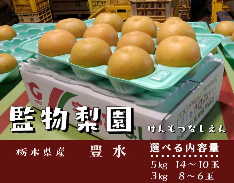 【ふるさと納税】【先行予約】＼選べる内容量／ 栃木県産 梨【豊水】5kg（14〜10玉）または 3kg（8〜6玉）｜旬 果物 フルーツ 産地直送 栃木県産 ※2025年10月下旬～11月下旬頃に順次発送予定 ※離島への配送不可
