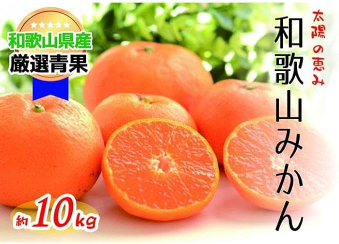 【ふるさと納税】 【太陽の恵み】和歌山みかん(約10kg) 【2026年12月上旬～2027年1月下旬発送】