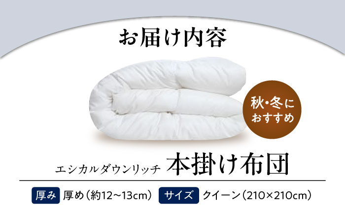 洗える 人工羽毛布団 本掛け布団 クイーン エシカルダウンリッチ 広島県福山市/イシケン株式会社 羽毛 布団 ふとん 本掛け 掛け布団 掛布団 軽い 日本製 秋 冬 寝具 アレルギー対策 サステナブル
