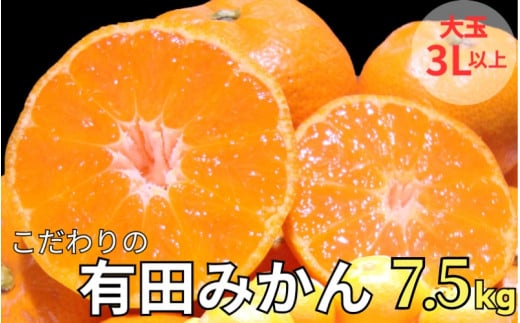 ▼有田みかん 大玉3L以上 約7.5kg 有機質肥料100％ ※2024年12月初旬～1月中旬に順次発送 ※北海道・沖縄・離島地域は発送不可 【nuk004-l-7d5】