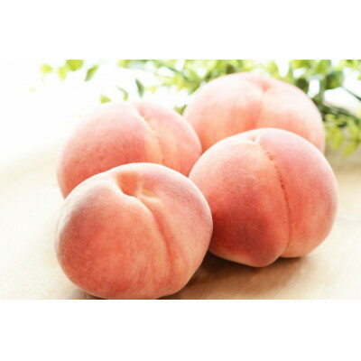 【ふるさと納税】【2025年発送】フルーツ王国　長野県信州直送　白桃　約2kg(3～8玉)【配送不可地域：離島】【1577368】