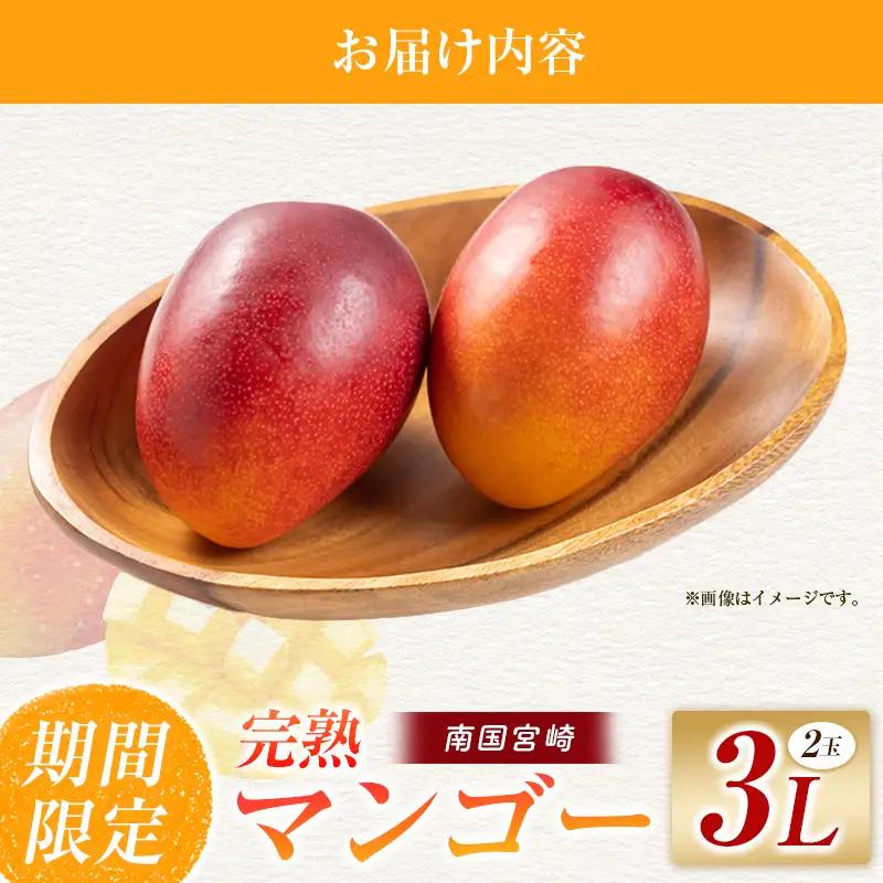 【2027年先行予約】マンゴー 完熟マンゴー 3L×2玉 マンゴー 